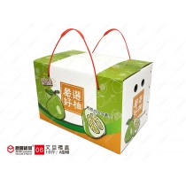 公版柚子10斤(A型箱)-06款...【1組／10入】