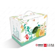 客訂-公版文旦(柚子)10斤手提彩盒-04款